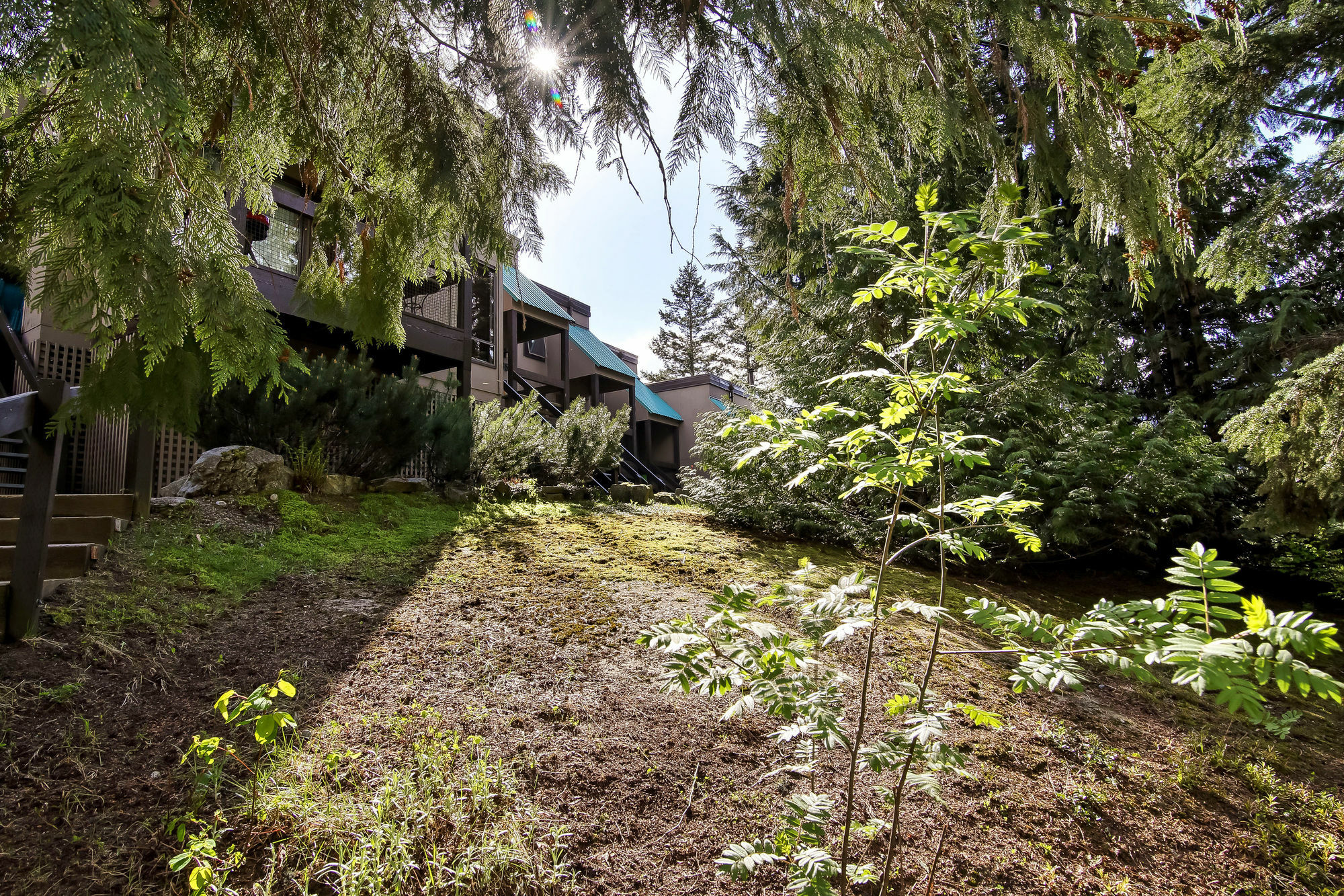 Whiski Jack Creekside Whistler Exterior foto